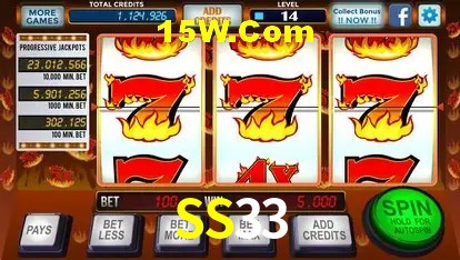 Ofertas Exclusivas SS33